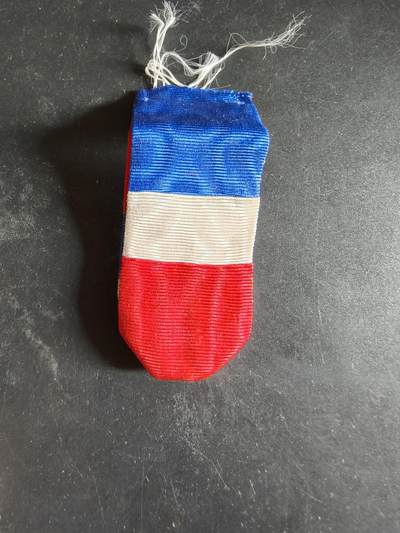 老王徽章第189期 - 法国银级劳工奖章绶带