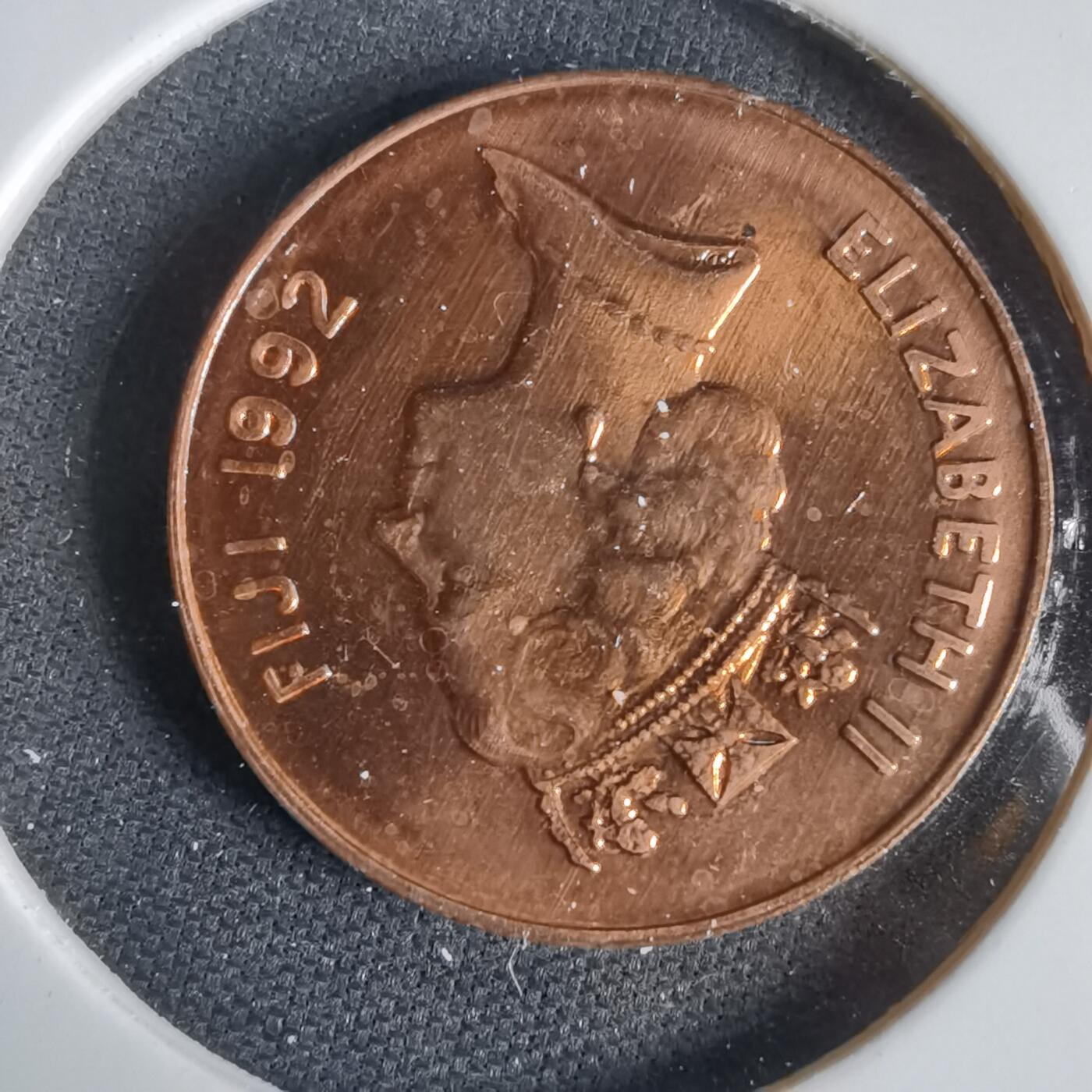 沼泽如烟--第1031场