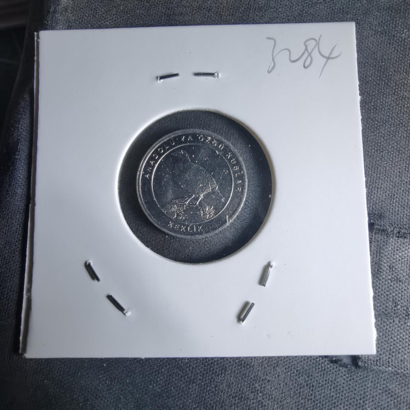 沼泽如烟--第1032场 土耳其小鸟