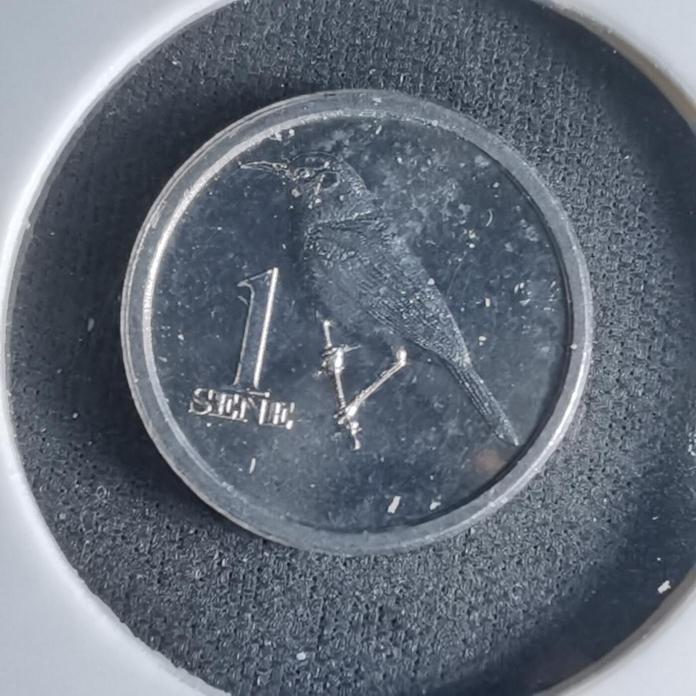 沼泽如烟--第1032场 萨摩亚小鸟