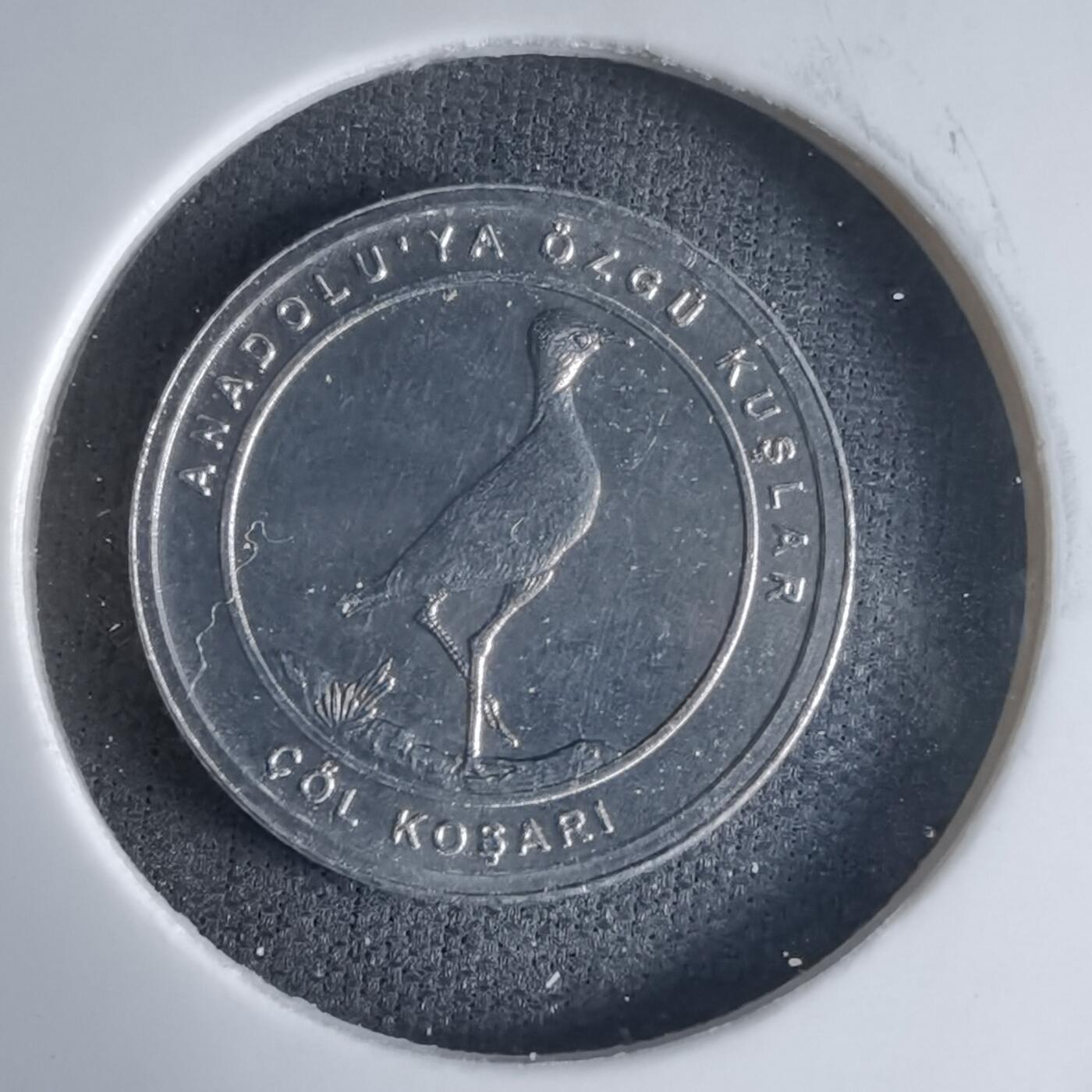 沼泽如烟--第1032场 土耳其小鸟