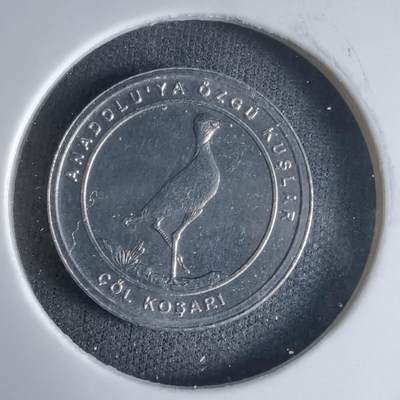 沼泽如烟--第1032场 - 土耳其小鸟