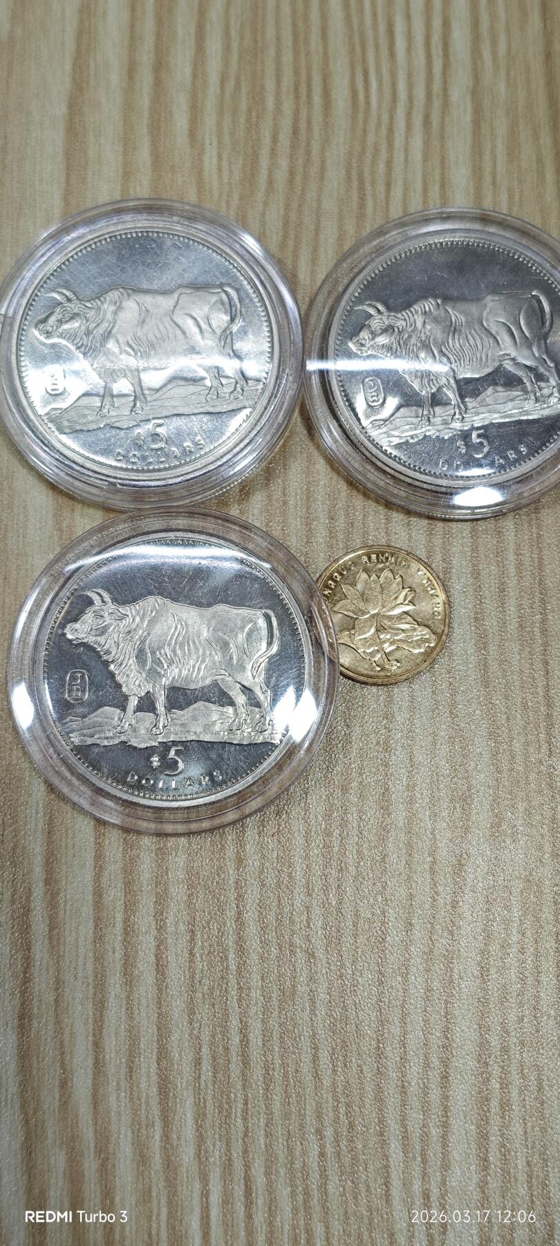 利比亚牛年纪念币三枚