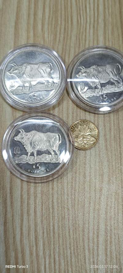 利比亚牛年纪念币三枚 - 利比亚牛年纪念币三枚