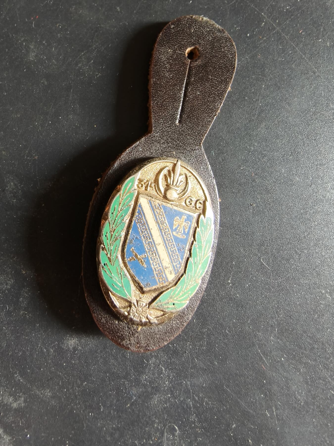 老王徽章第189期 法国陆军第31营地大队证章