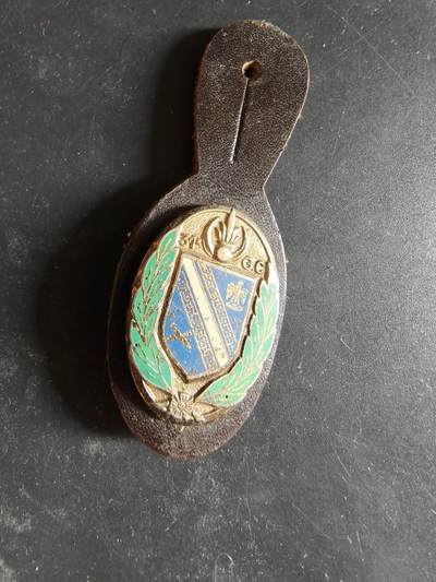 老王徽章第189期 - 法国陆军第31营地大队证章