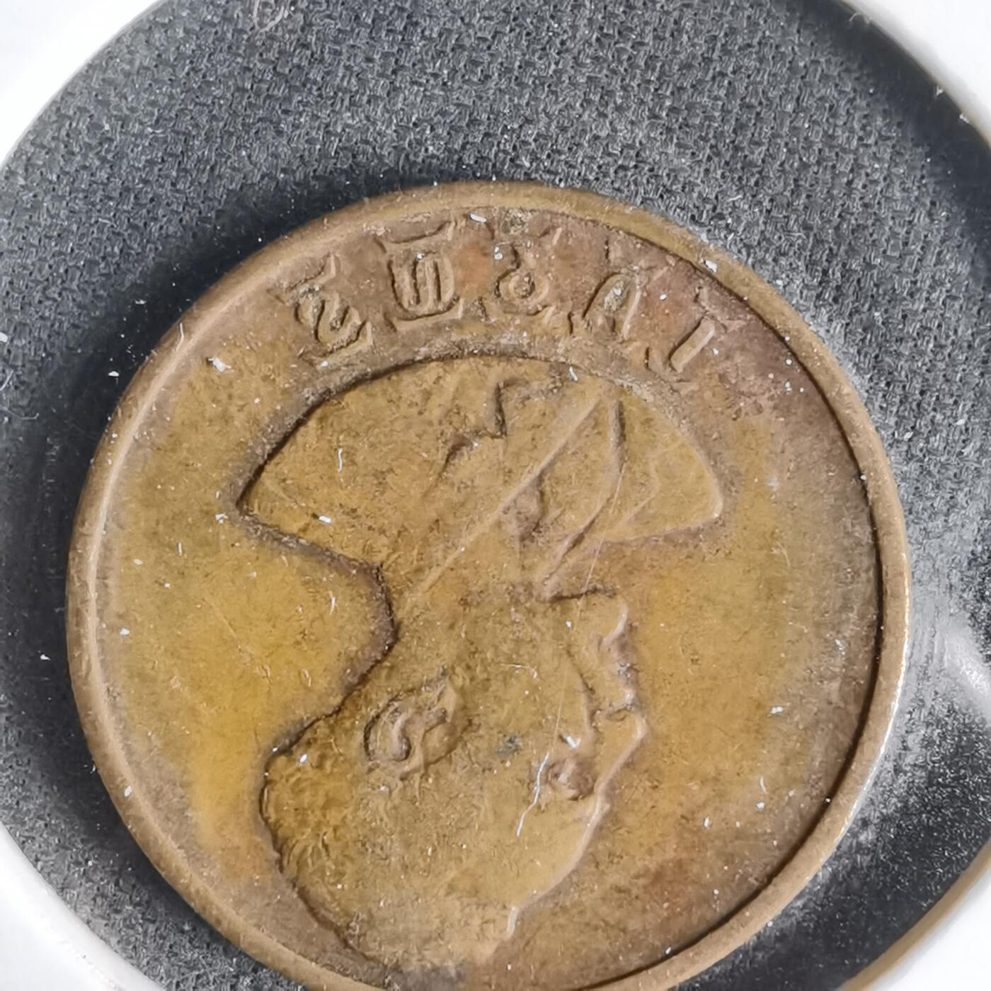 沼泽如烟--第1031场