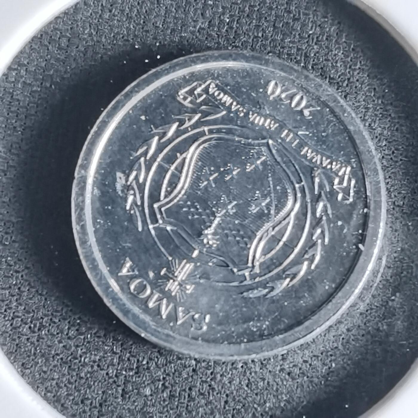 沼泽如烟--第1032场 萨摩亚小鸟