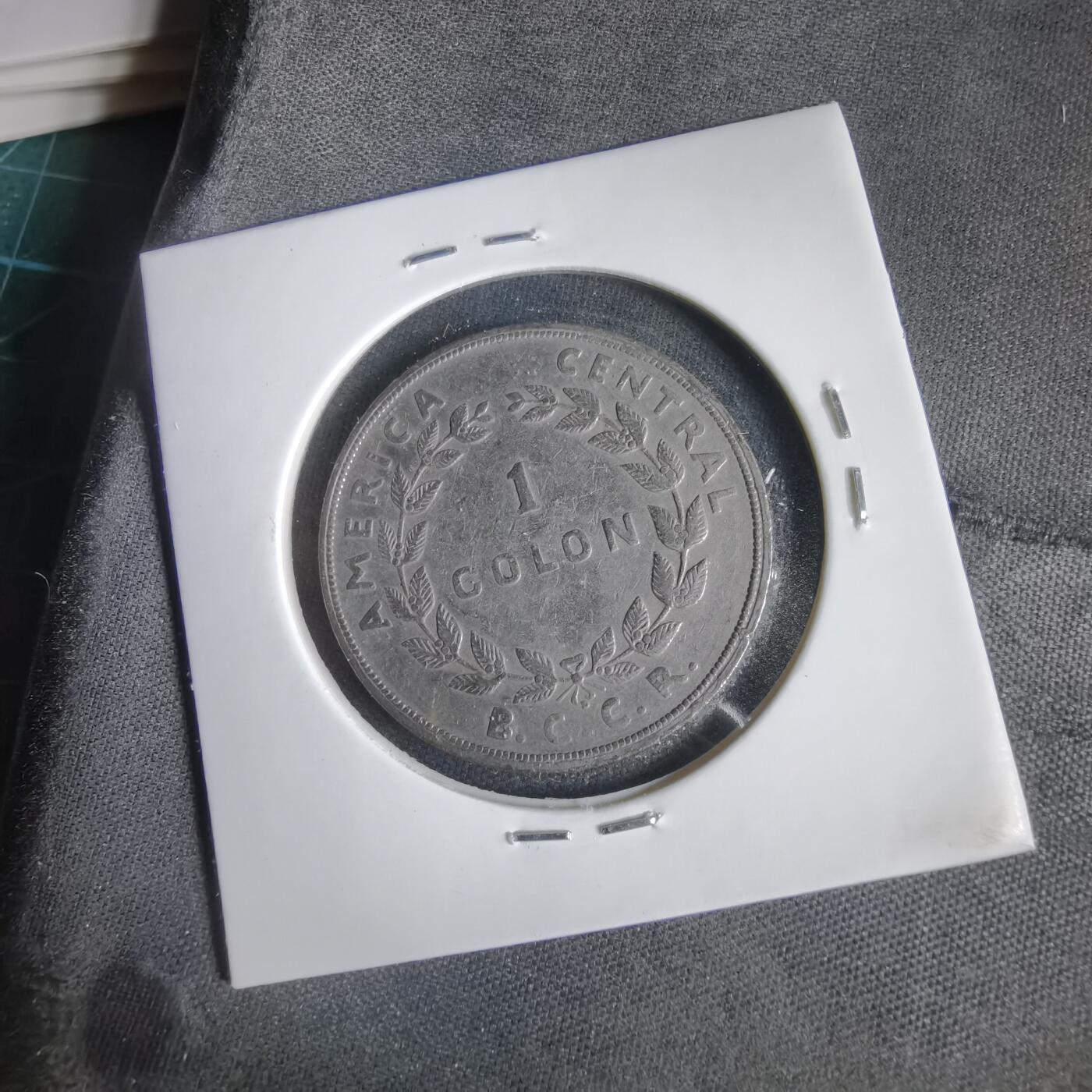 沼泽如烟--第1031场