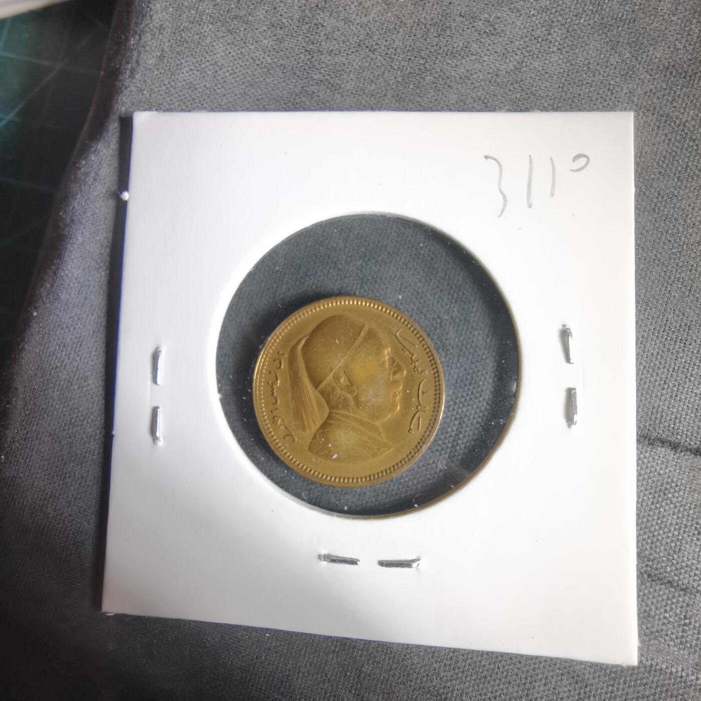 沼泽如烟--第1031场