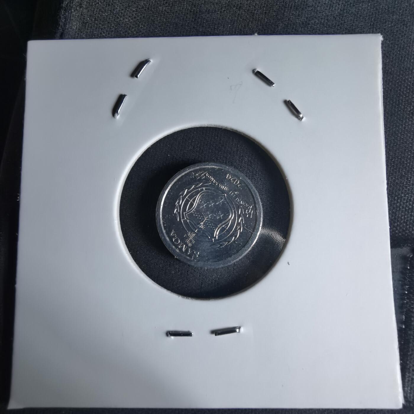 沼泽如烟--第1032场 萨摩亚小鸟