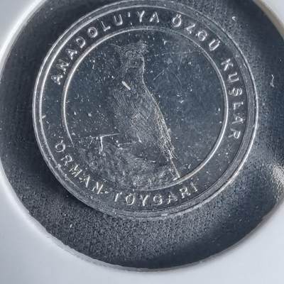 沼泽如烟--第1032场 - 土耳其小鸟