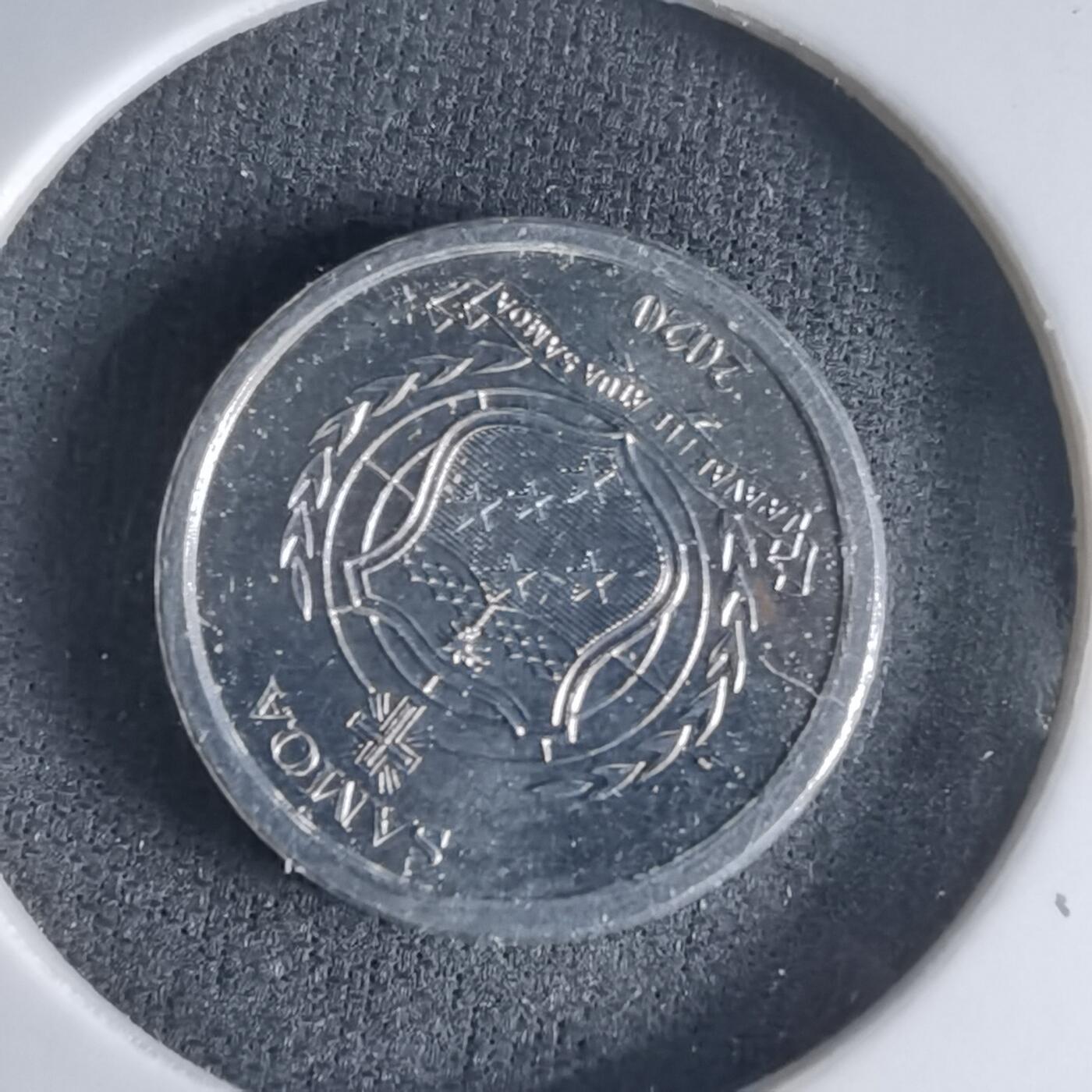 沼泽如烟--第1032场 萨摩亚小鸟