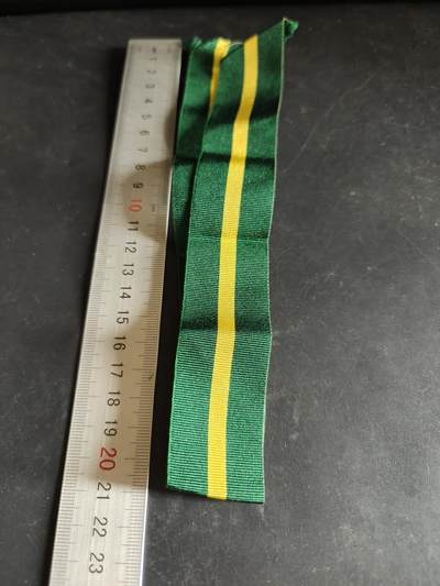 老王徽章第189期 - 英国地区效率奖章绶带      42cm