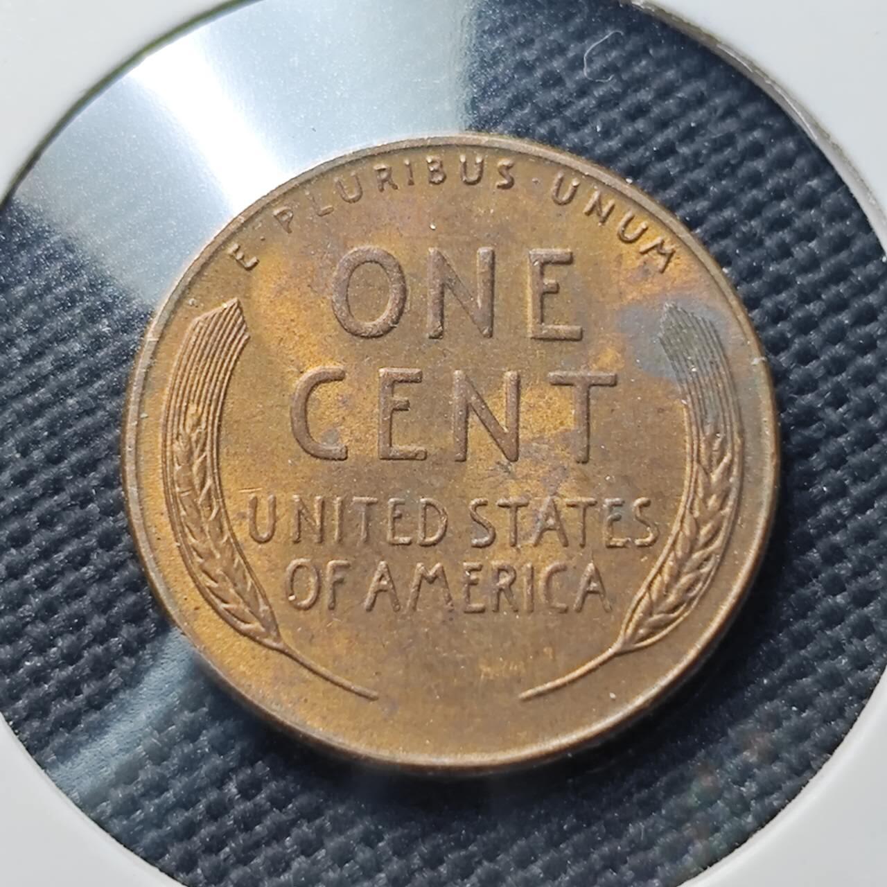 KK钱币收藏小铺  第406期 2月预留时间 周末发货