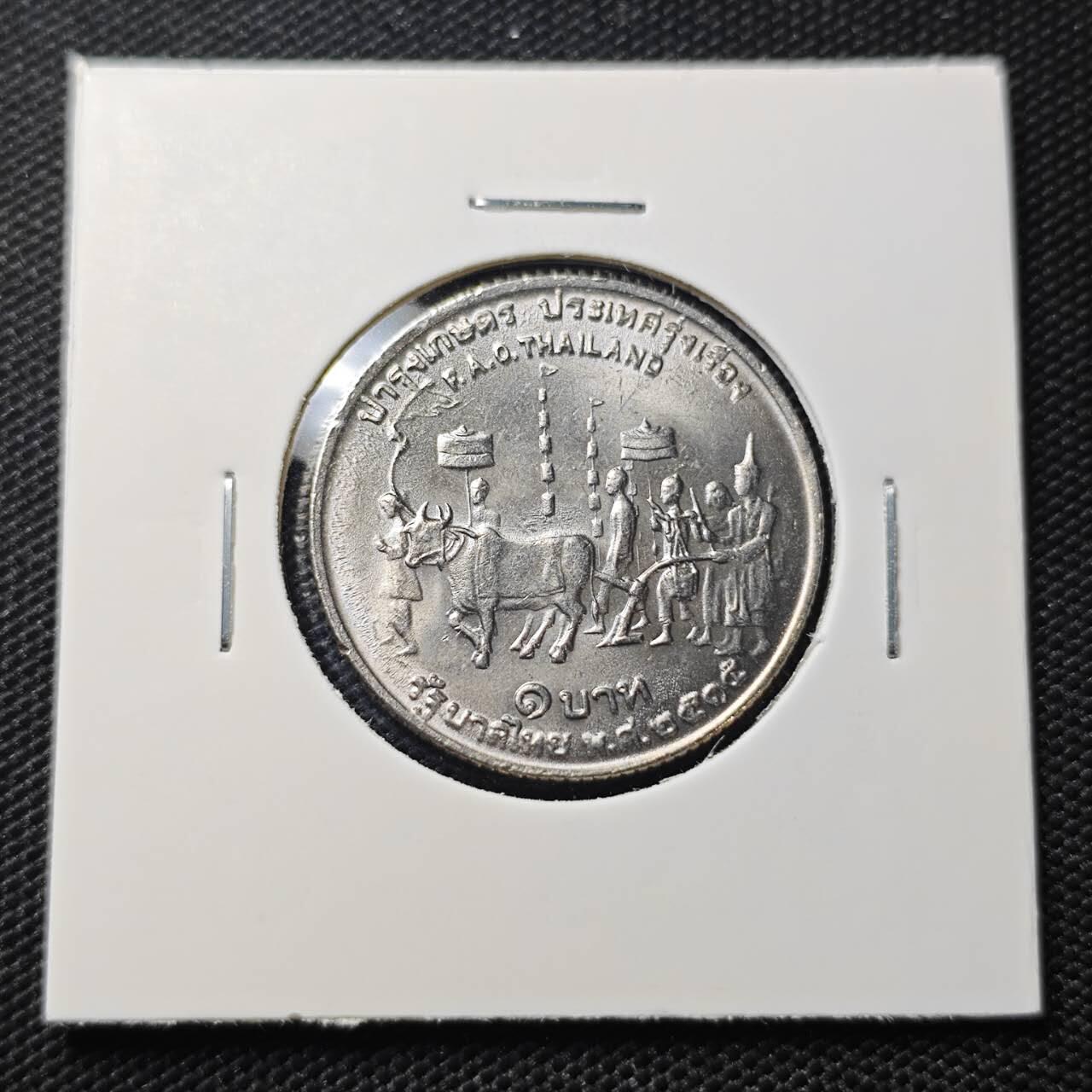 KK钱币收藏小铺  第407期 2月预留时间 周末发货