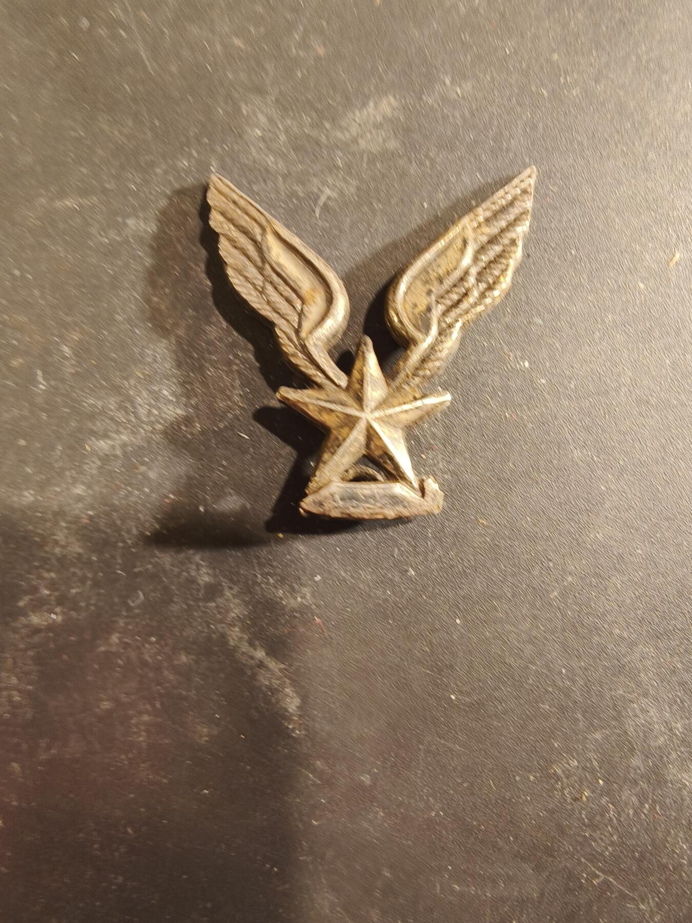 老王徽章第189期 法国陆军航空兵贝雷帽徽配饰   银色