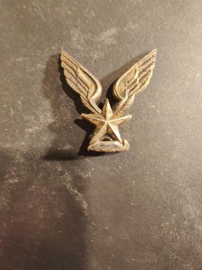 老王徽章第189期 - 法国陆军航空兵贝雷帽徽配饰   银色