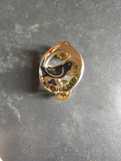 老王徽章第189期 - 美国陆军第104训练师证章