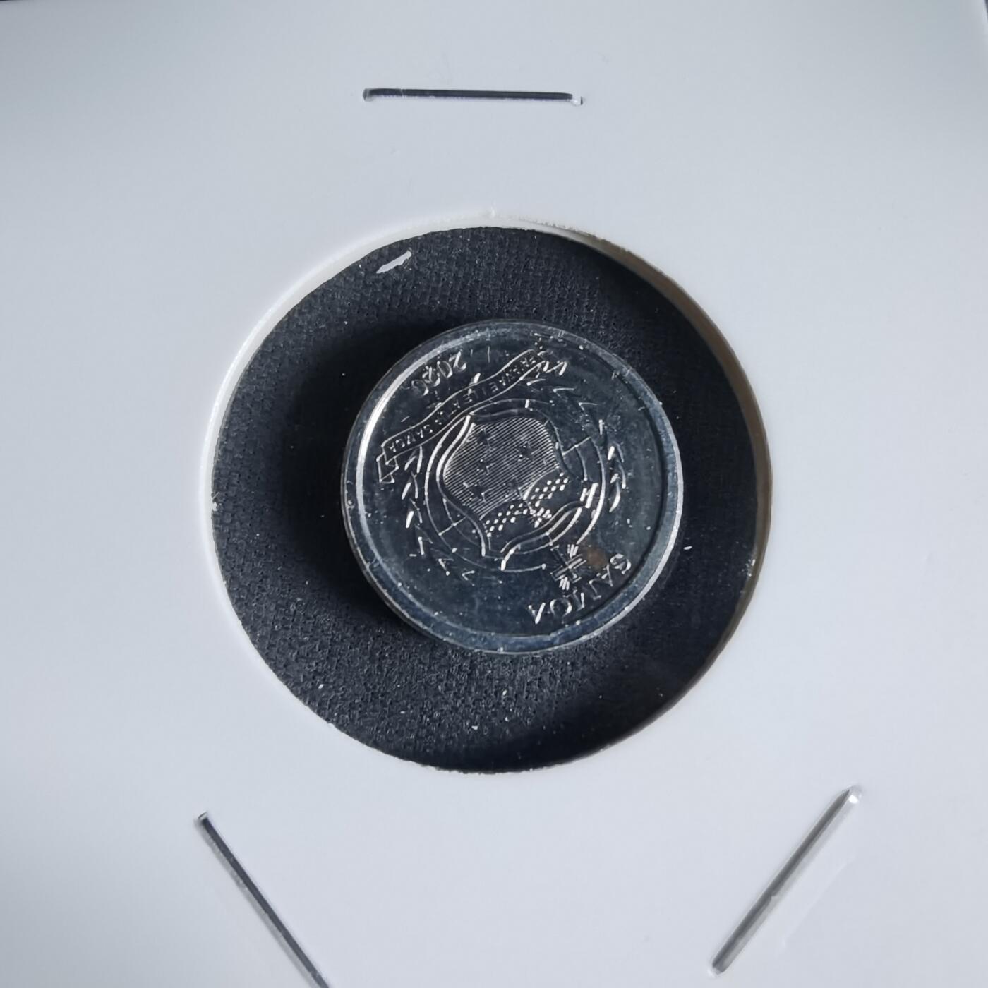 沼泽如烟--第1032场 萨摩亚小鸟