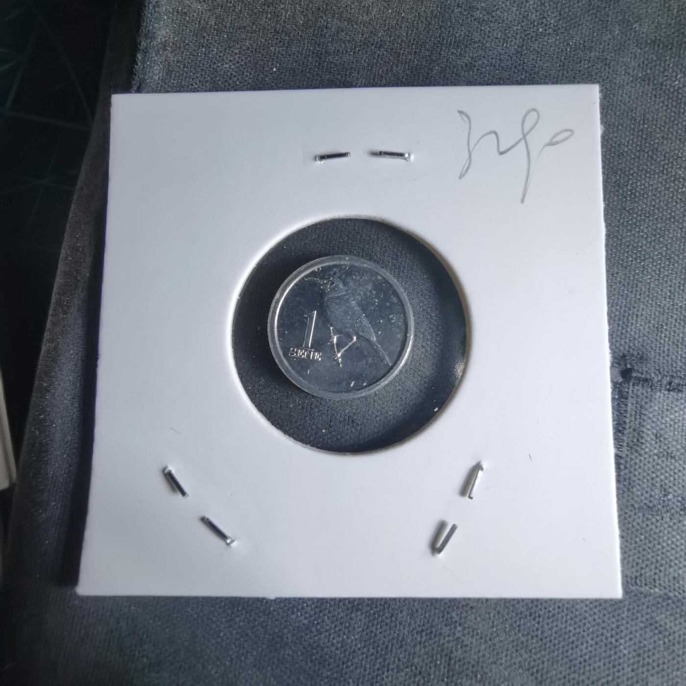 沼泽如烟--第1032场 萨摩亚小鸟