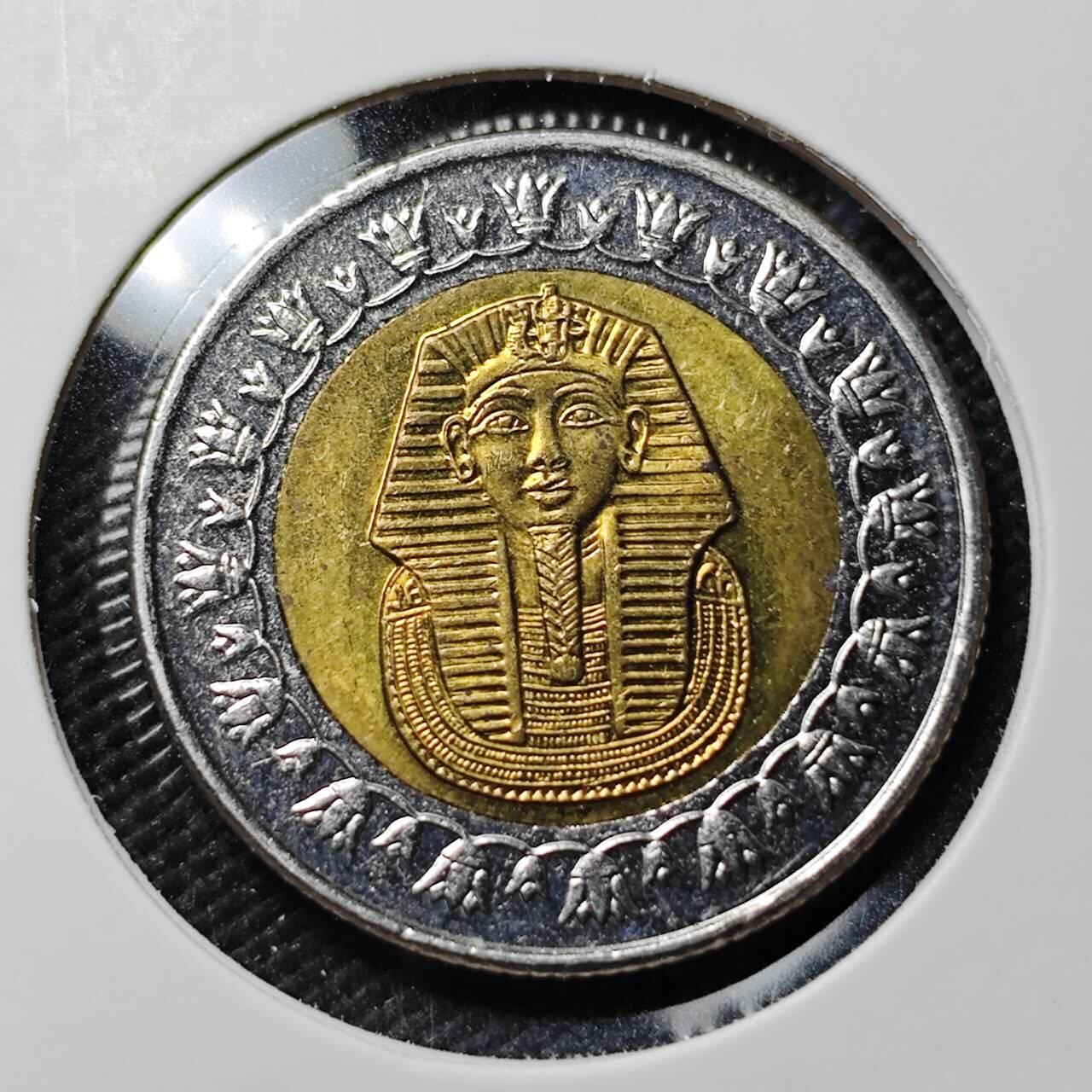 KK钱币收藏小铺  第406期 2月预留时间 周末发货