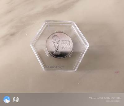 昊象达收藏银币拍卖第6场 - 2018世界杯纪念币一枚普通材质