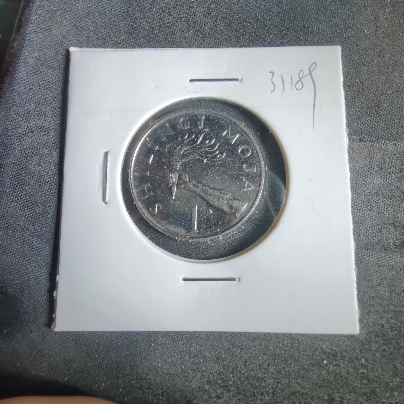 沼泽如烟--第1031场