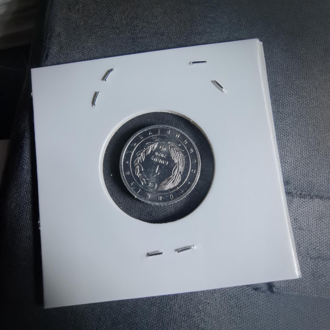 沼泽如烟--第1032场 土耳其小鸟