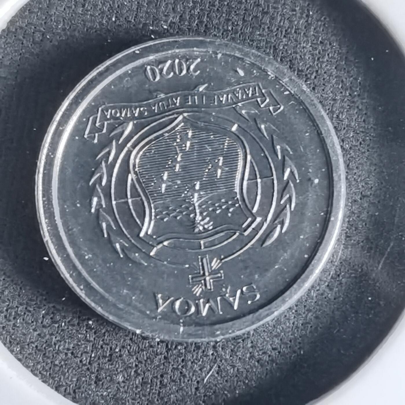 沼泽如烟--第1032场 萨摩亚小鸟