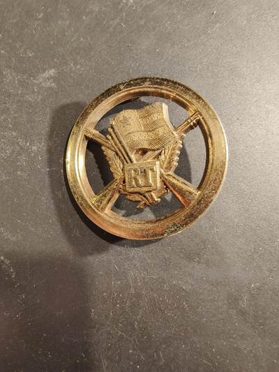 老王徽章第189期 - 多哥共和国武装力量贝雷帽徽   金色