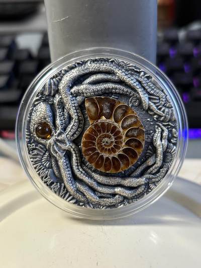 第195期拍卖 - 纽埃2019年化石系列1鹦鹉螺镶琥珀高浮雕仿古银币，2盎司，900银，发行500枚