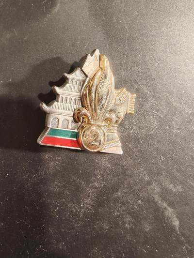 老王徽章第189期 - 法国外籍军团第2工兵团证章