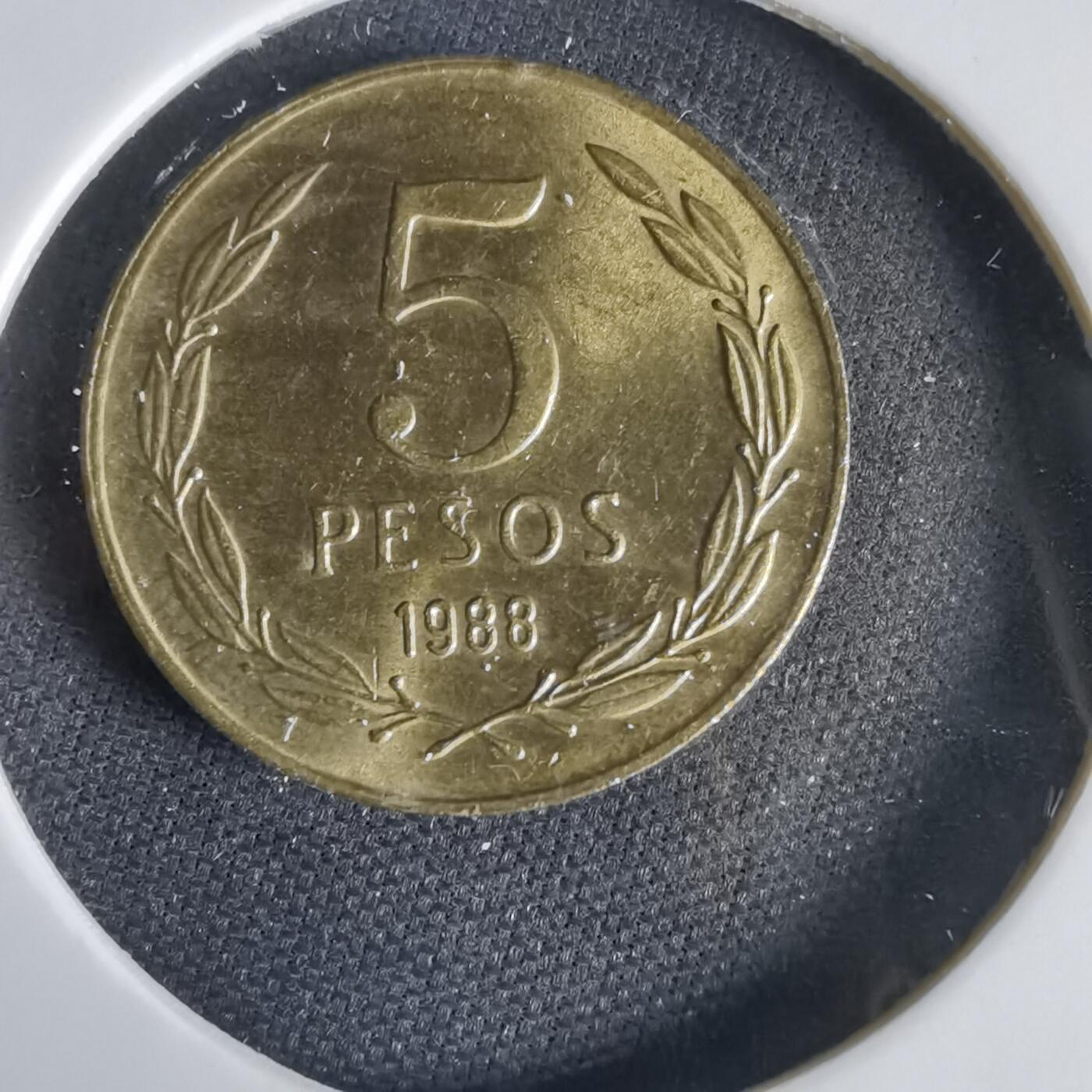 沼泽如烟--第1031场