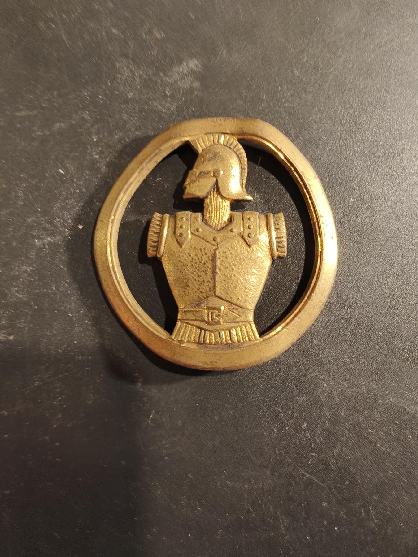 老王徽章第189期 法国工兵贝雷帽徽   金色