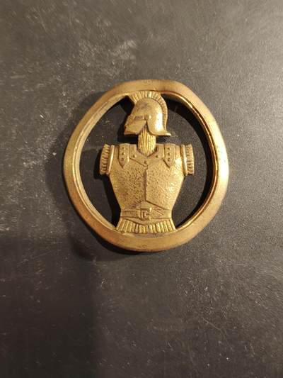 老王徽章第189期 - 法国工兵贝雷帽徽   金色