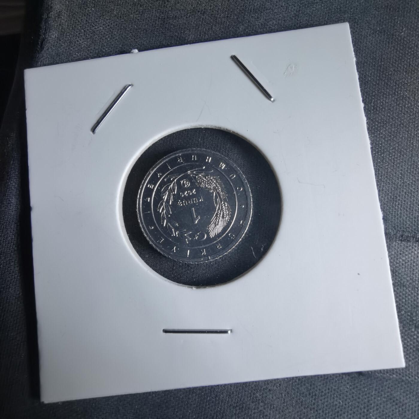 沼泽如烟--第1032场 土耳其小鸟