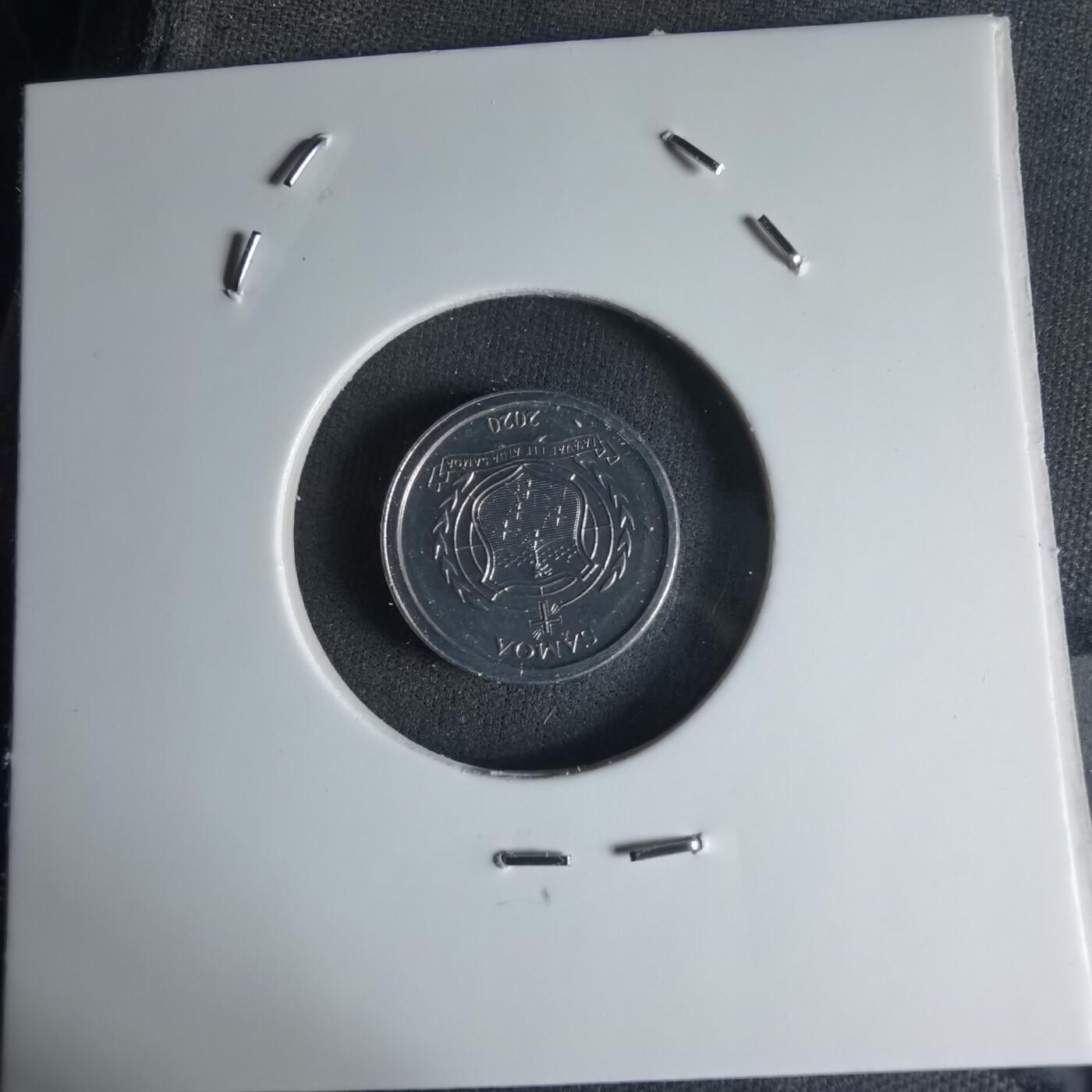 沼泽如烟--第1032场 萨摩亚小鸟