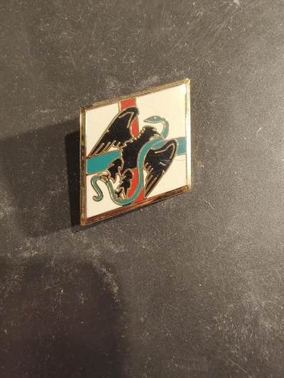 老王徽章第189期 - 法国外籍军团第1步兵团证章