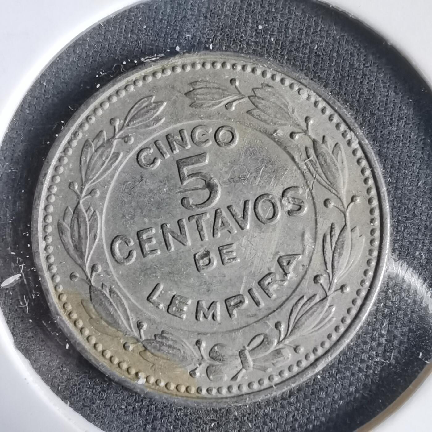 沼泽如烟--第1031场