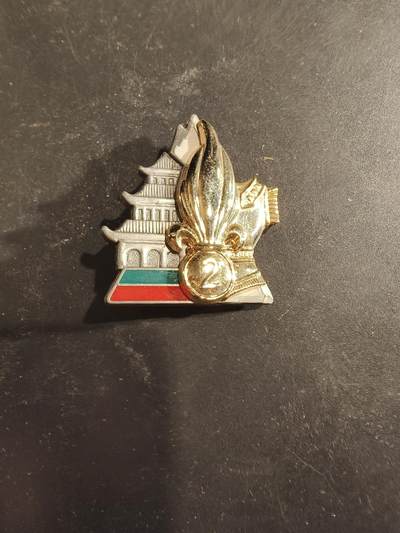 老王徽章第189期 - 法国外籍兵团第2外籍工兵团证章