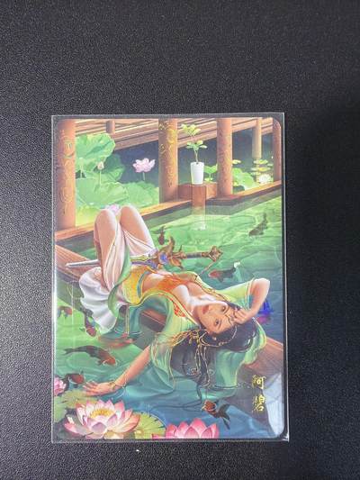 NO.28 好又多金牌大场，每周一站式配齐，方便凑单！（周6晚9点截拍，卖家送拍0抽成！） - 天龙八部 阿碧 彩闪