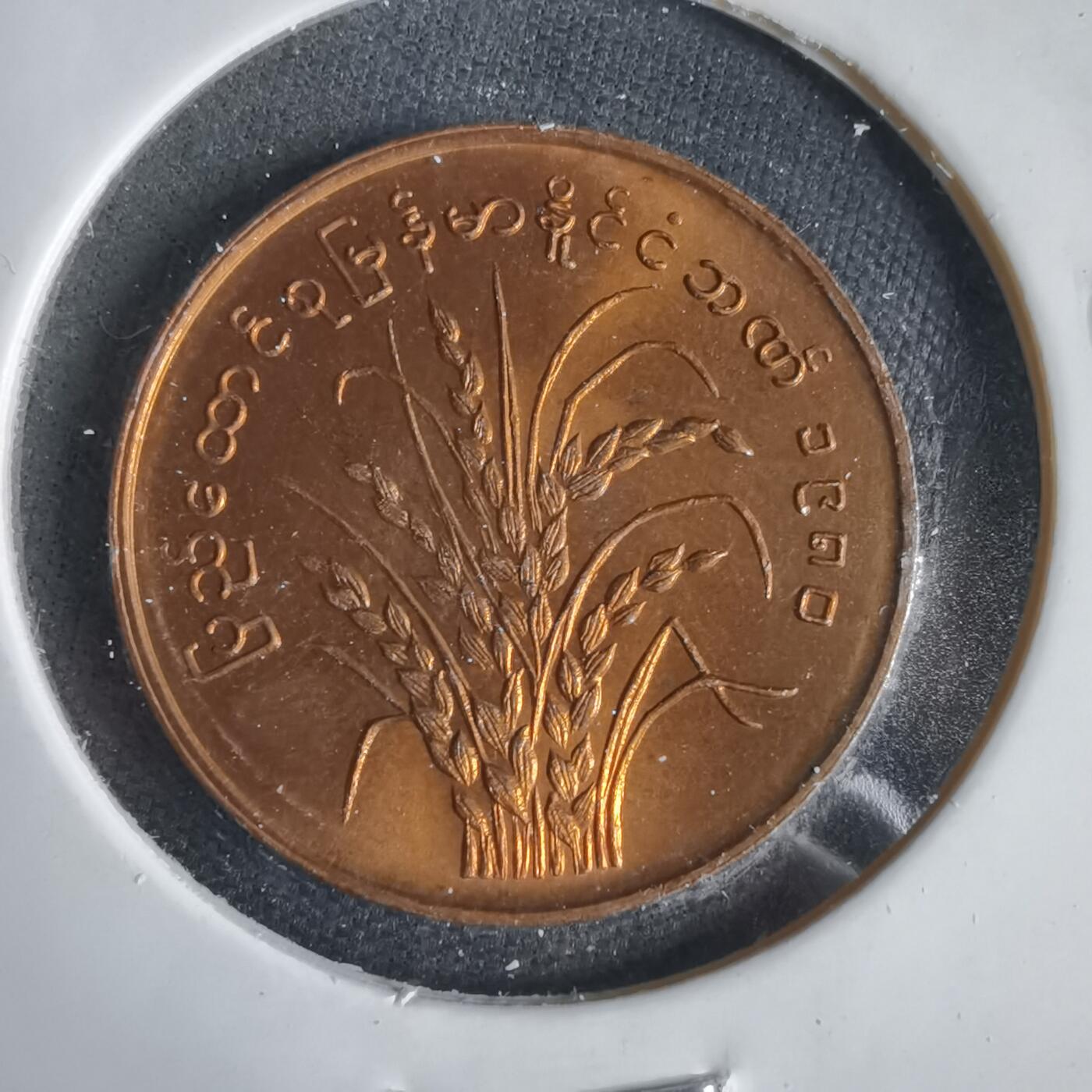 沼泽如烟--第1031场 缅甸