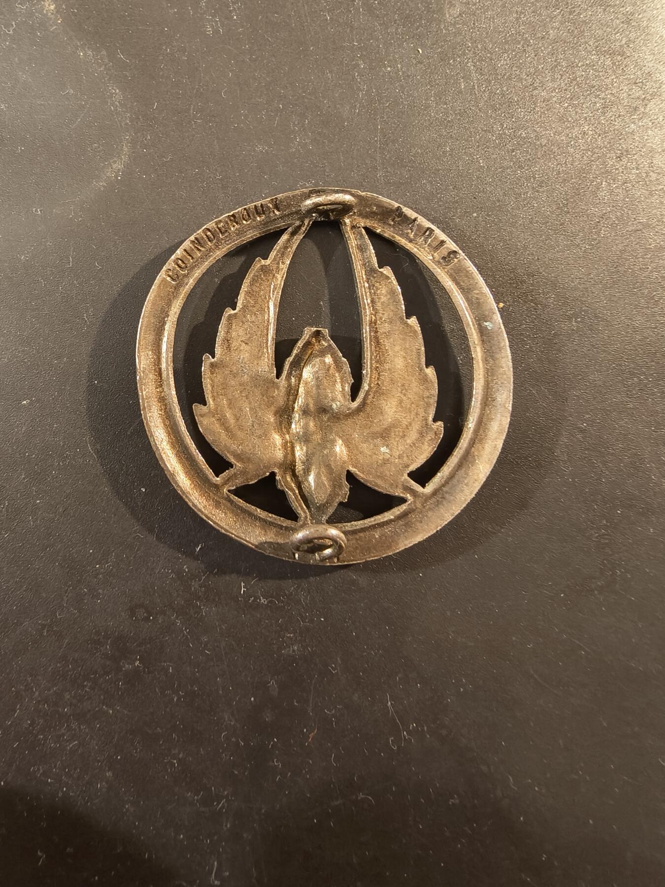 老王徽章第189期 法国铁路运输兵贝雷帽徽  银色