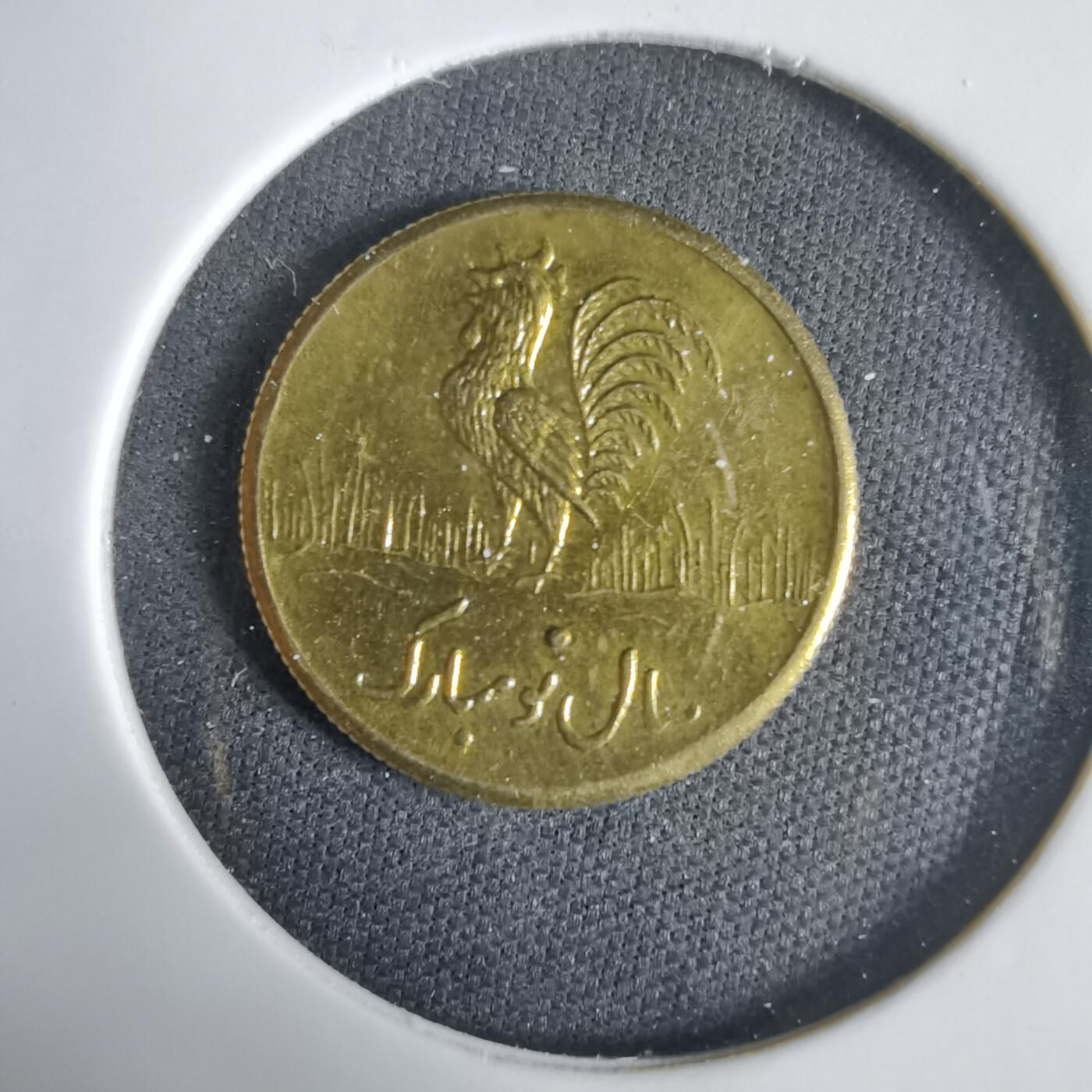 沼泽如烟--第1031场