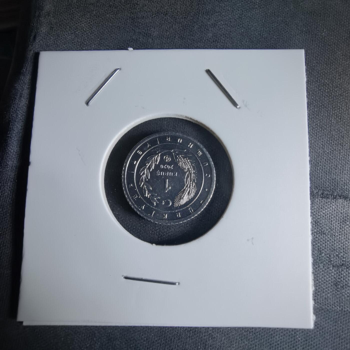 沼泽如烟--第1032场 土耳其小鸟