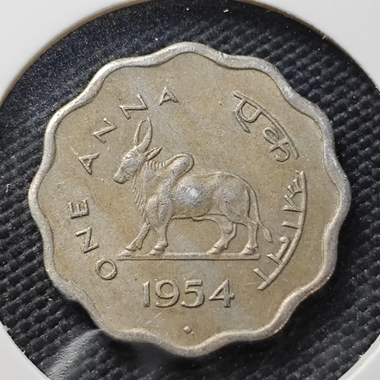 KK钱币收藏小铺  第407期 2月预留时间 周末发货