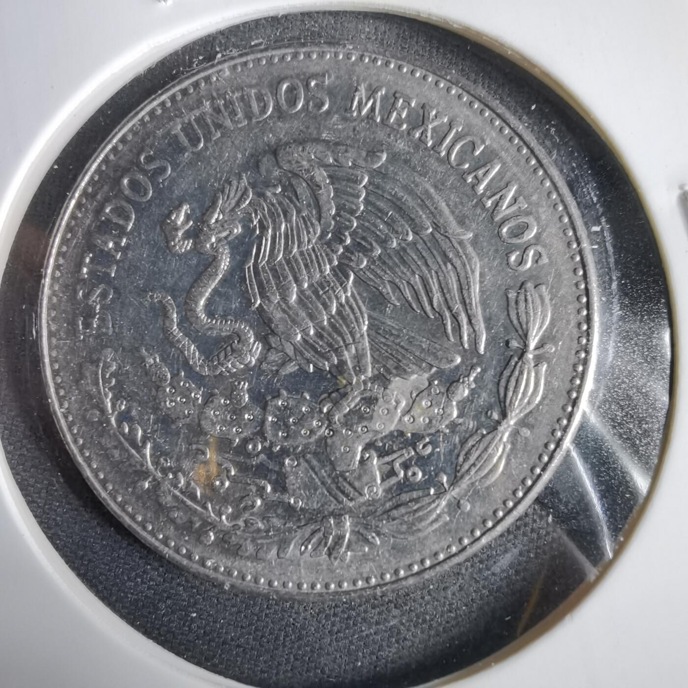 沼泽如烟--第1031场