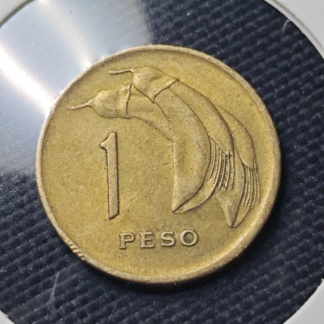 KK钱币收藏小铺  第407期 2月预留时间 周末发货