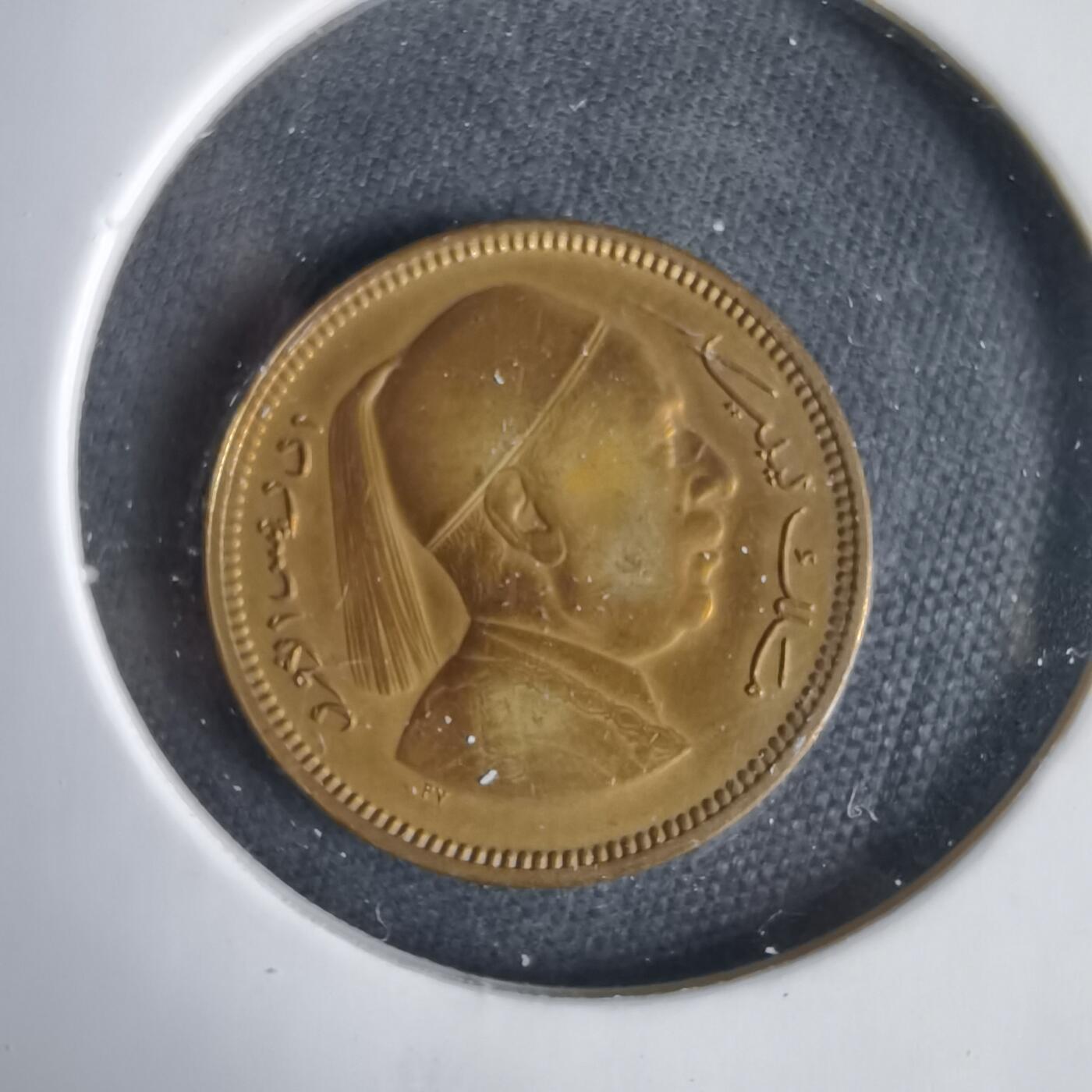 沼泽如烟--第1031场